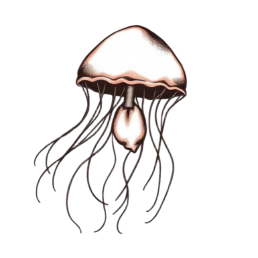 Jellyfish and wave illustration